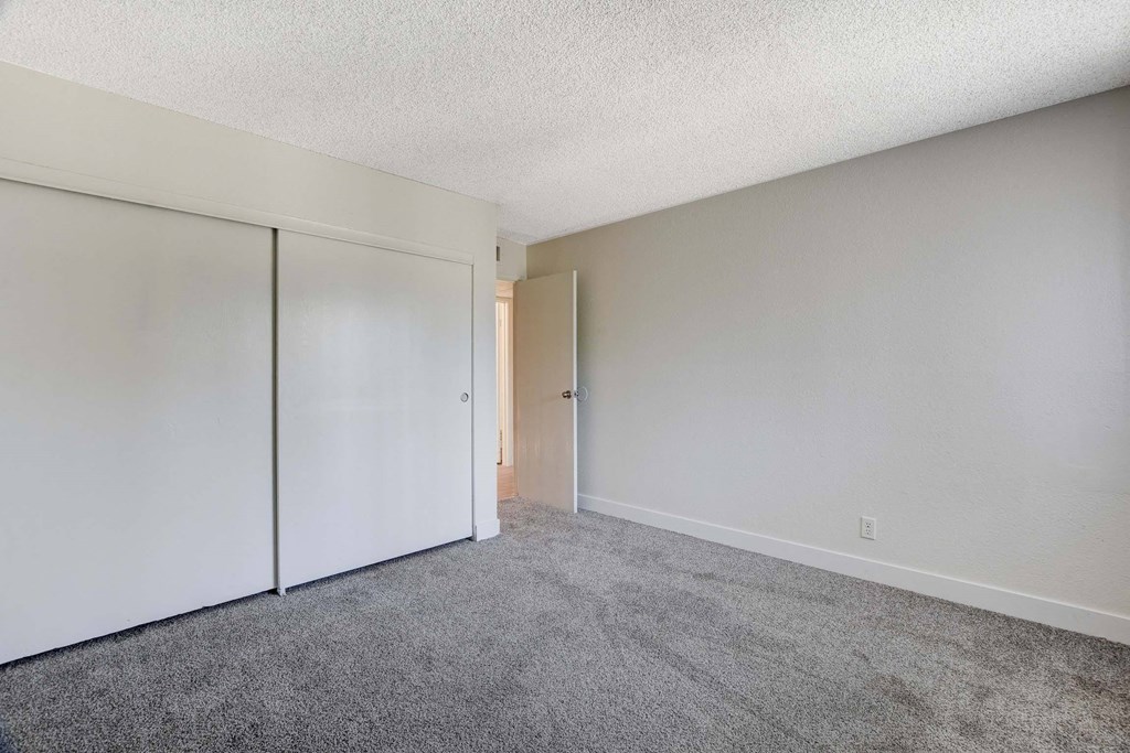 A room with a grey carpet and white walls.