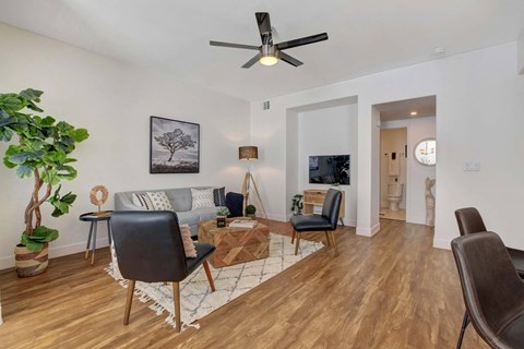 A living room with a grey couch, a black chair, a wooden floor, and a ceiling fan.