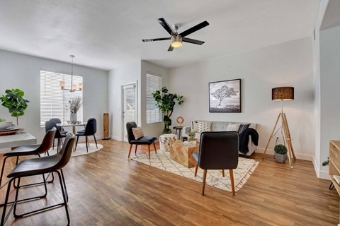 A living room with a black chair in the foreground and a white wall in the background.