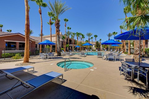 A pool area with a blue umbrella and a palm tree.