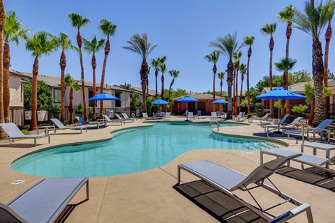 A pool surrounded by palm trees and sun loungers.