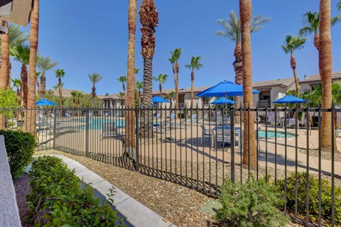 A pool surrounded by palm trees and a black fence.