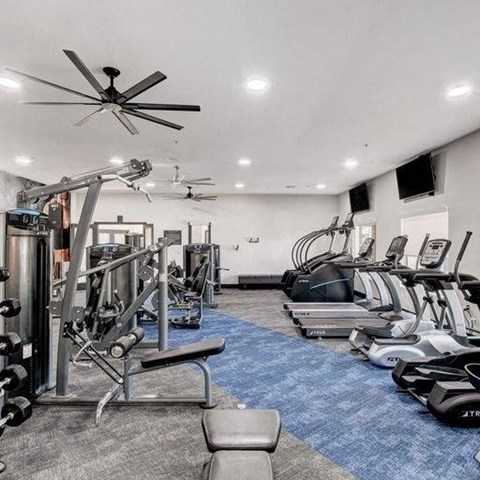 A well-equipped gym with a variety of machines and weights.