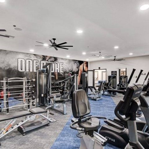 A gym with a variety of equipment including treadmills, weights, and a ceiling fan.