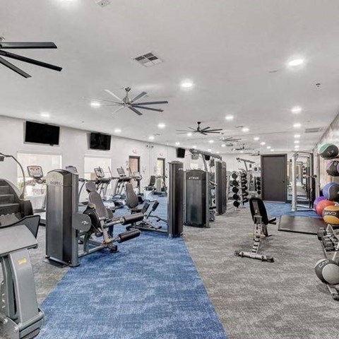 A spacious gym with a variety of equipment including treadmills, weight machines, and a blue mat on the floor.
