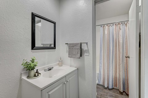A bathroom with a sink, mirror, and shower.