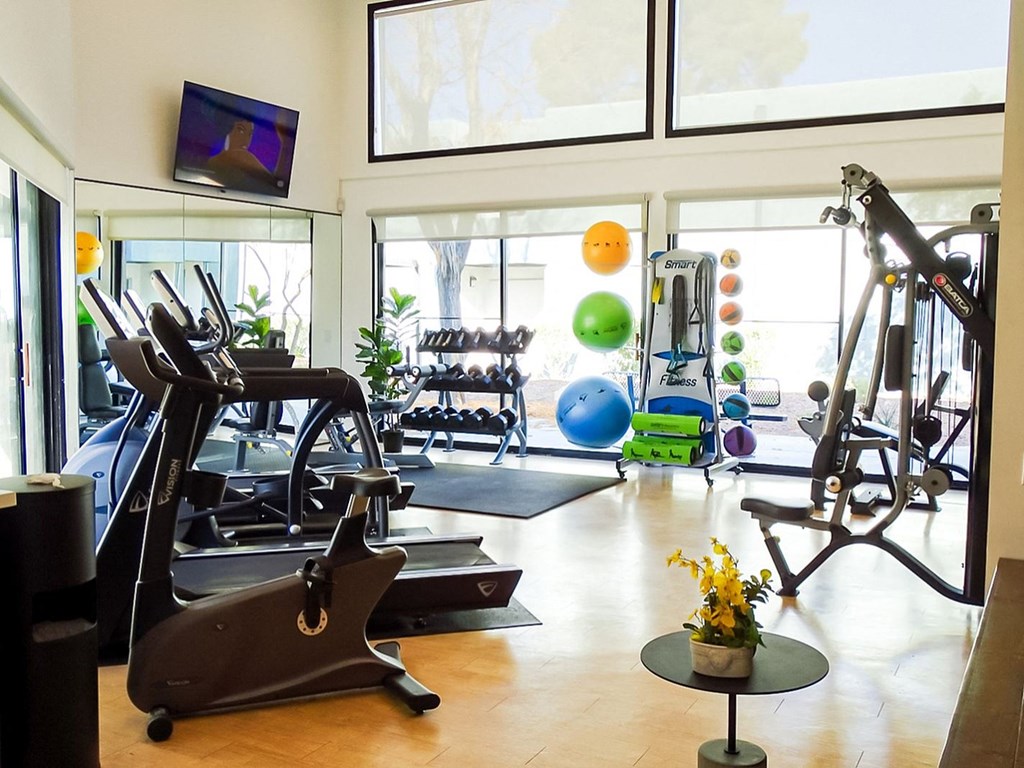 A gym with a row of treadmills and a row of exercise bikes.