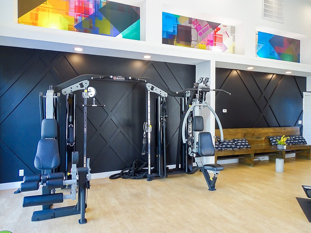 A gym with a variety of equipment including a leg press machine, a chest press machine, a lat pulldown machine, a seated calf raise machine, a leg curl machine, a seated leg extension machine, a seated