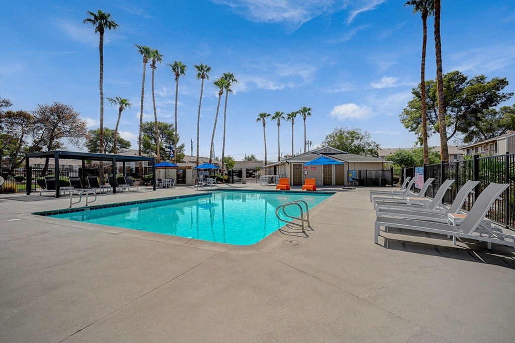 A pool surrounded by palm trees and lounge chairs.