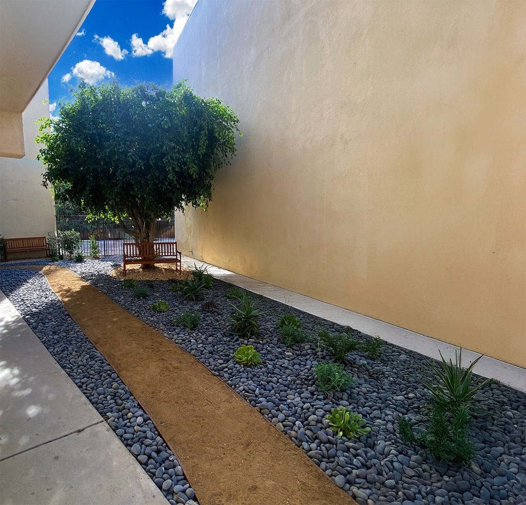 A tree is planted in a small garden.