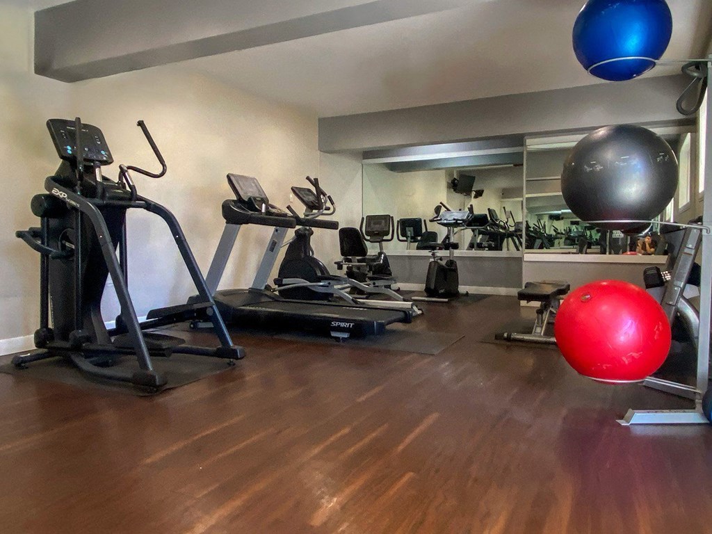 A gym with a treadmill, exercise ball, and other equipment.
