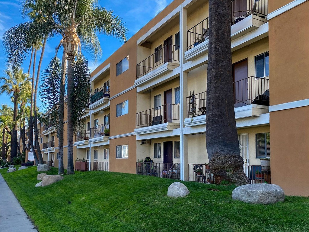 A building with balconies and a palm tree in front.