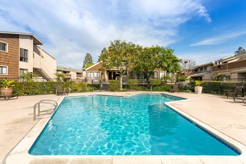 A swimming pool in a residential area with houses in the background.