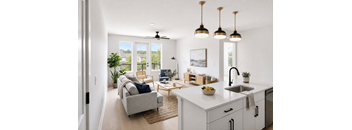 D-Plan Living Room & Kitchen