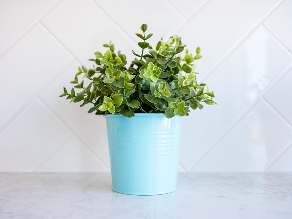 A green plant in a blue pot.