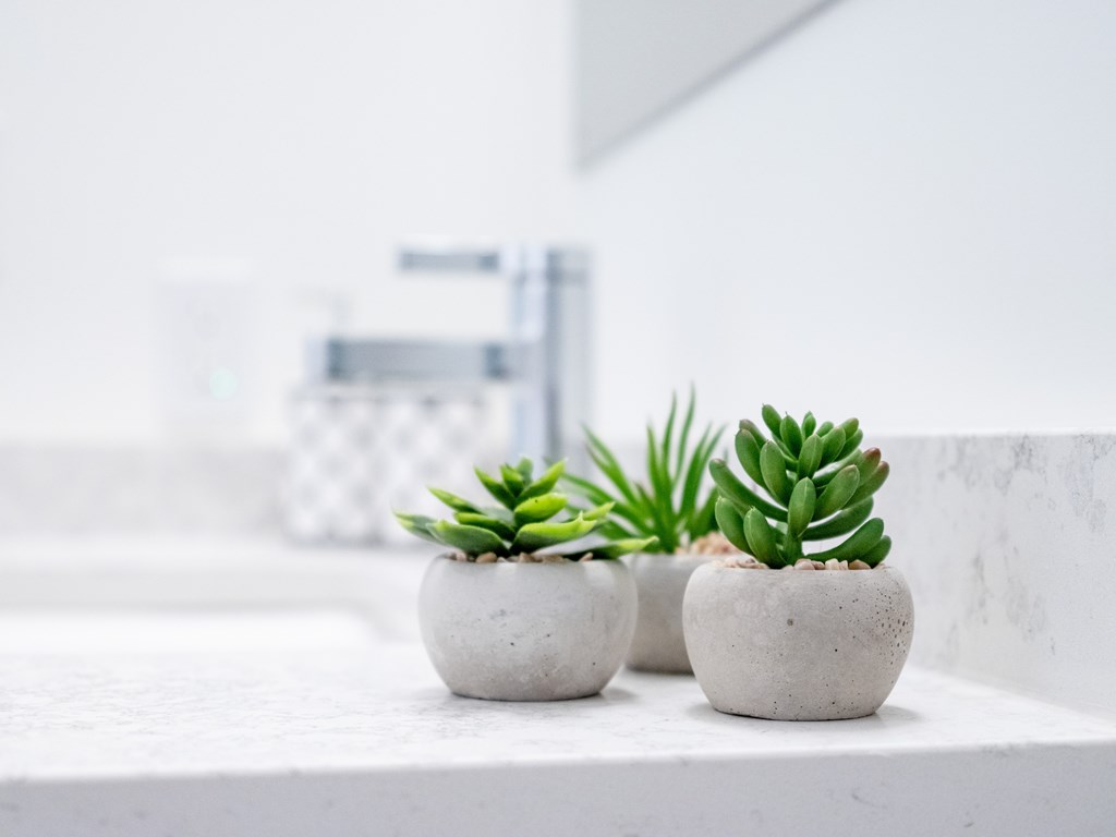 Three succulent plants in concrete pots are placed on a white countertop.