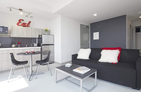 A modern living room with a black couch and a grey coffee table.