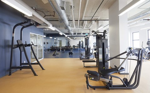 A gym with a variety of exercise equipment including treadmills, stationary bikes, and weight machines.