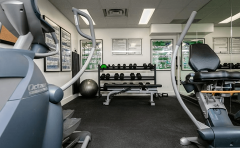 A gym with a row of treadmills on the left and a row of exercise machines on the right.