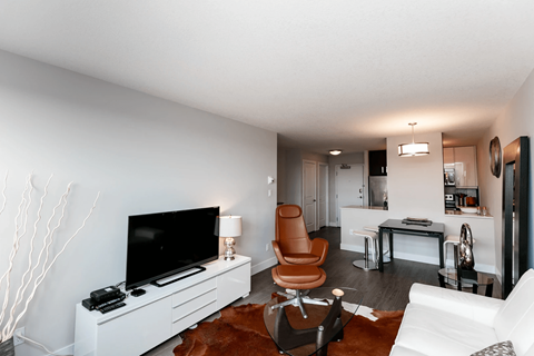 A living room with a television, chair, and rug.