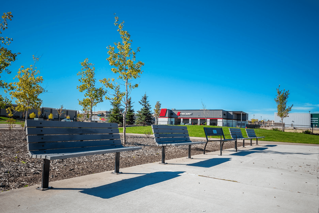 A row of benches are lined up in a park.