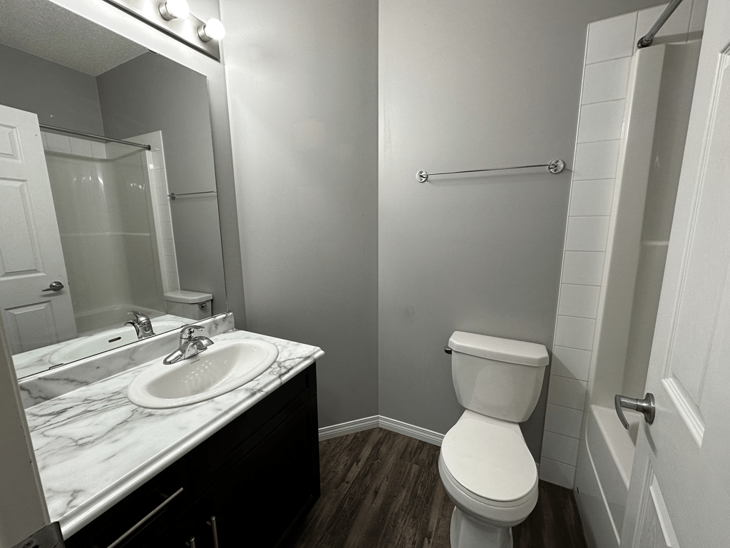 A white toilet sits next to a sink in a bathroom.