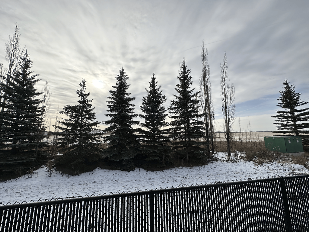 A snowy landscape with trees and a fence in the foreground.