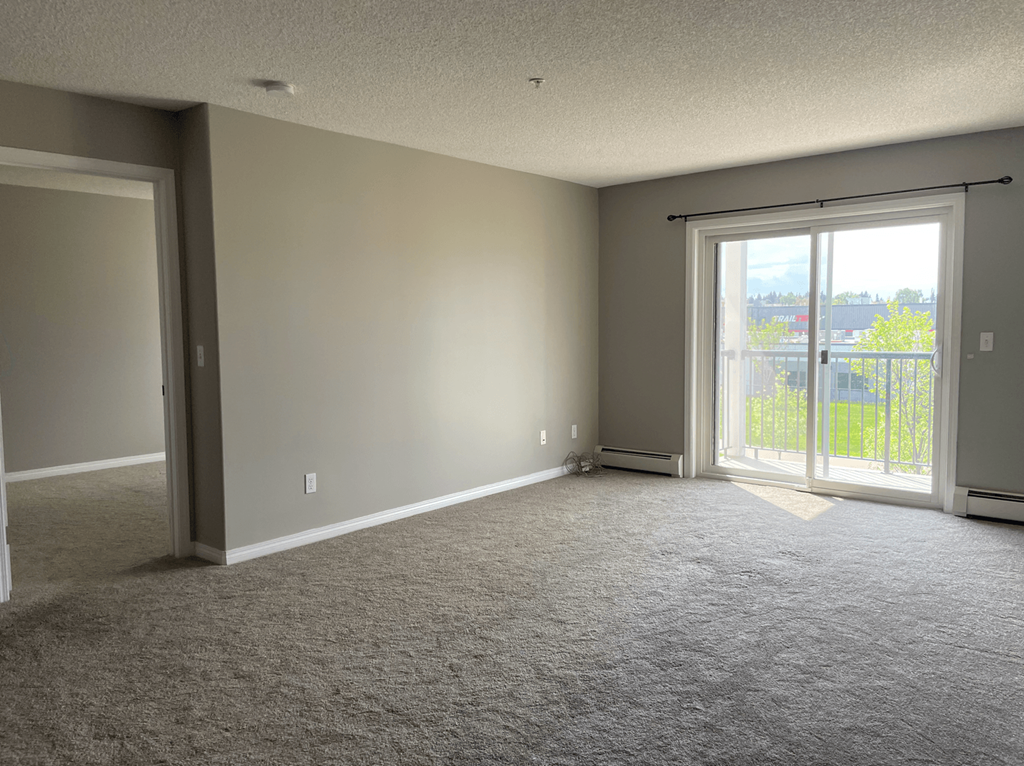 A room with grey carpet and a sliding glass door.