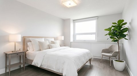 A bedroom with a bed, chair, and potted plant.