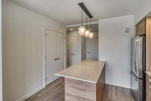 A kitchen with a countertop and a refrigerator.