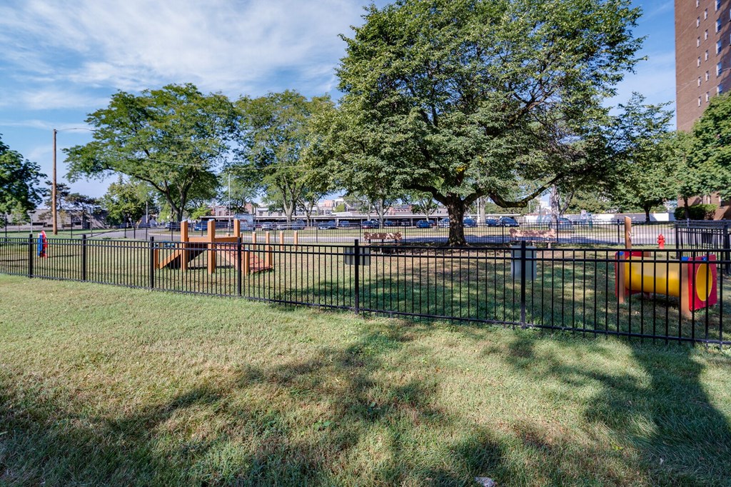 Resident dog park with obstacles a black fence and a large tree in the background.