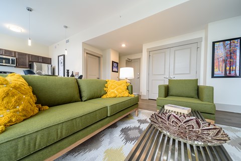A living room with a green couch and a patterned rug.