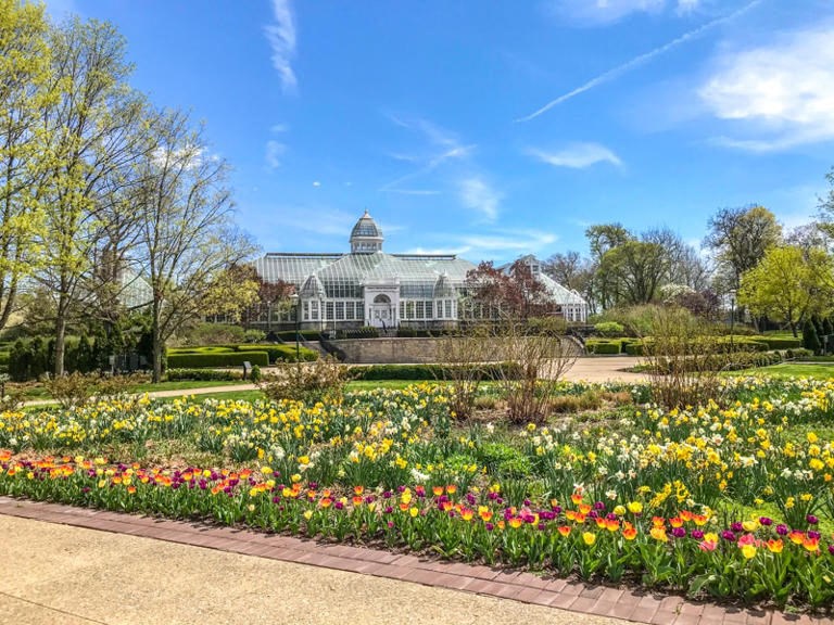 a garden with a greenhouse in the background