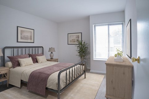 Bedroom View
