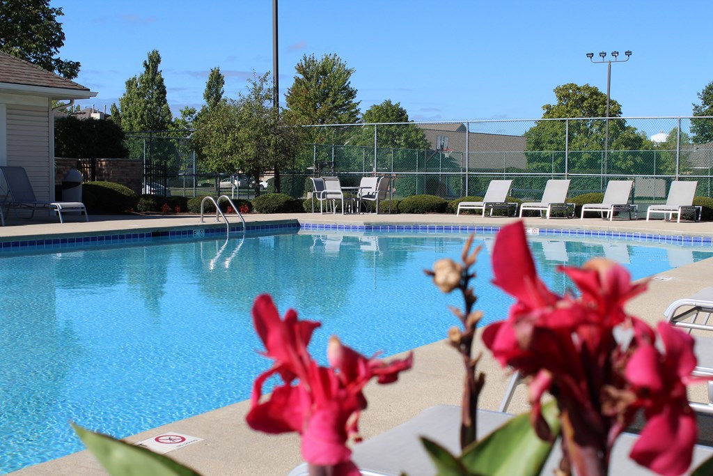 our apartments showcase an unique swimming pool