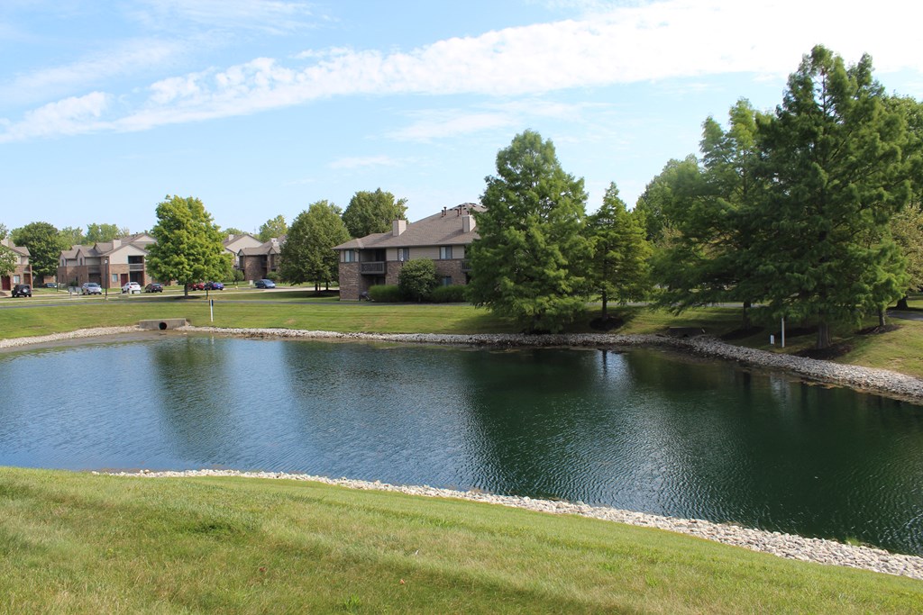 a pond with trees in the background