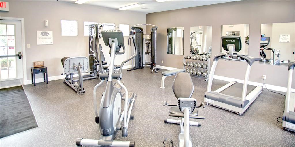 a gym with a lot of weights and cardio equipment