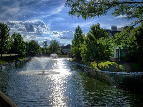 Pond Fountain