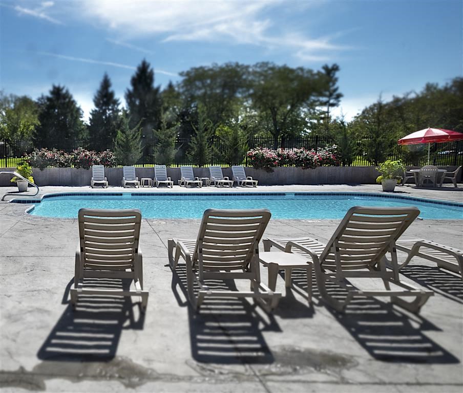 a group of lawn chairs next to a swimming pool