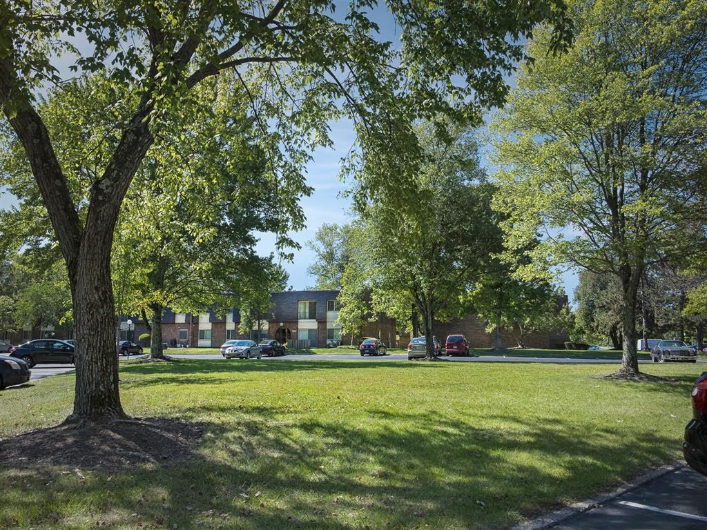 a park with trees and cars parked in front of a building