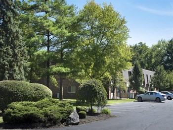 4071 Sharon Park Ln 1-3 Beds Apartment for Rent - Photo Gallery 6
