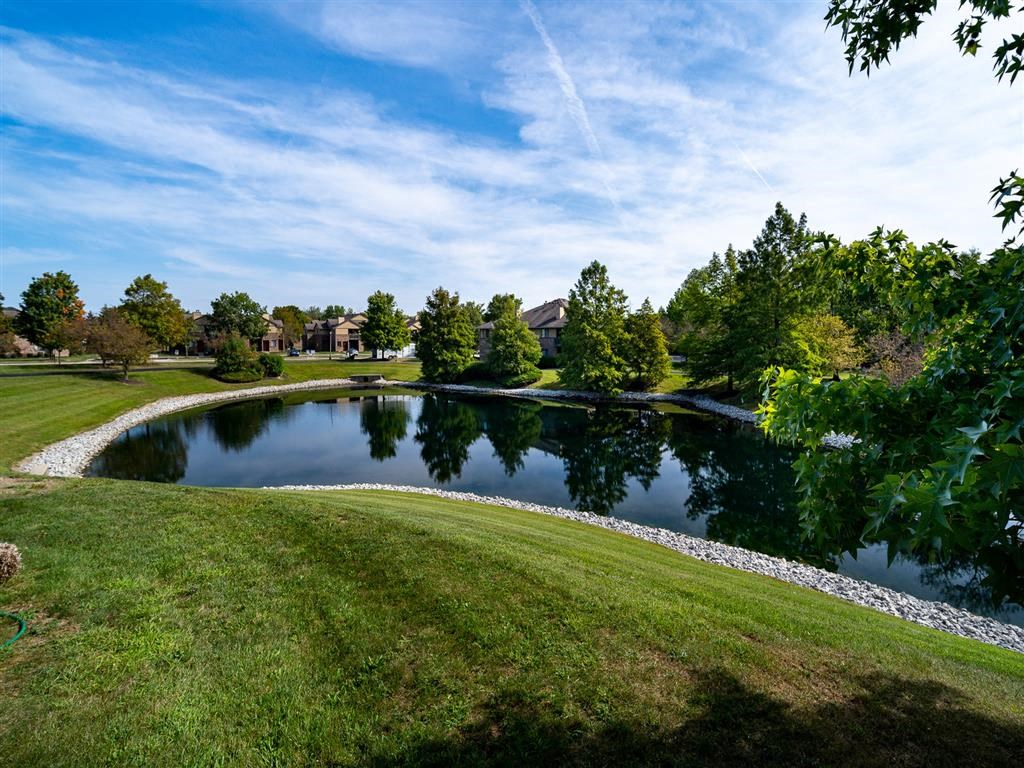 a small pond in a park with grass and trees