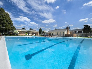 5010 Darby Road Studio-4 Beds Apartment for Rent - Photo Gallery 5