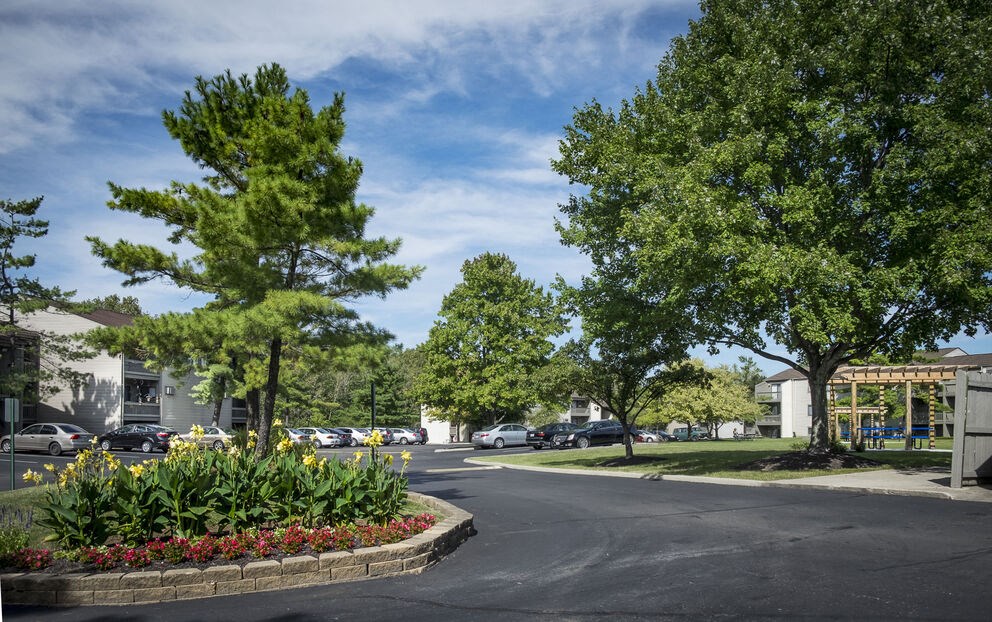 a city street with trees and flowers in the middle of it