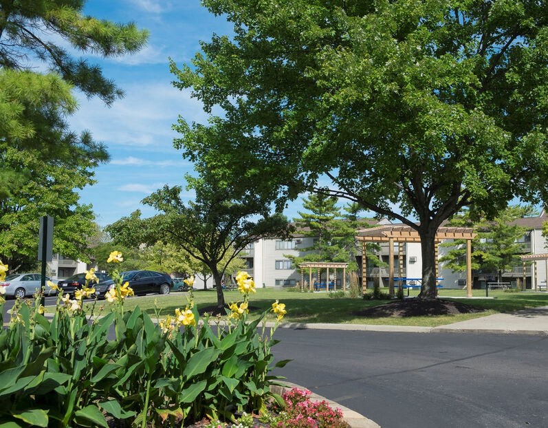 a street with trees and flowers in front of a building