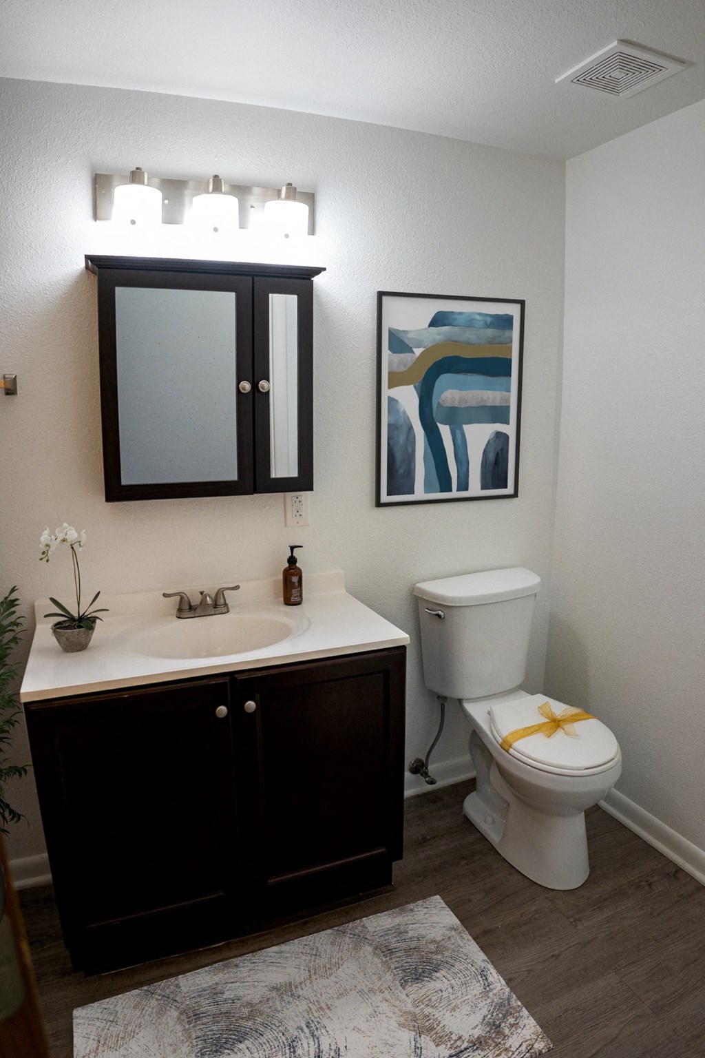 Apartment bathroom with hardwood-style flooring, dark cabinets, and lighting over the sink