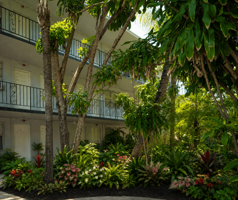 A building with a balcony is surrounded by green trees and plants.