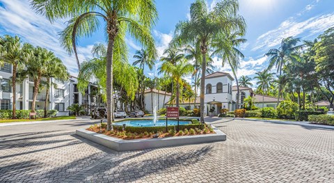 A sunny day at a residential area with a pool and palm trees.