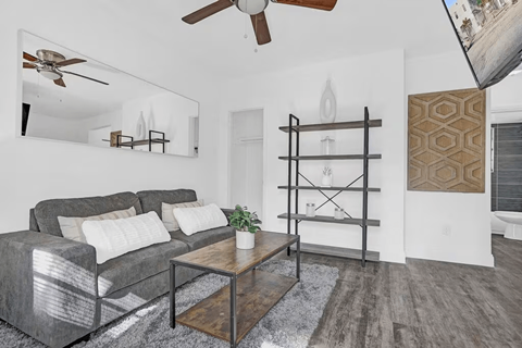 A modern living room with a grey couch, a wooden coffee table, and a mirror on the wall.