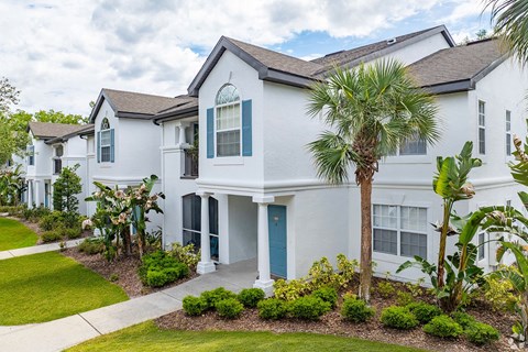 A white house with a blue door and a palm tree in front.